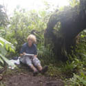 Heleen can be found regularly in Saba’s cloud forest where she makes drawings of the dramatic rain forest. Once she camped with Tom on the top of the mountain for more than four weeks, but later the stay was made a bit shorter as the humidity is very high there.