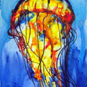 Jelly Fish 2, 16 x 22 inches, watercolor on canvas